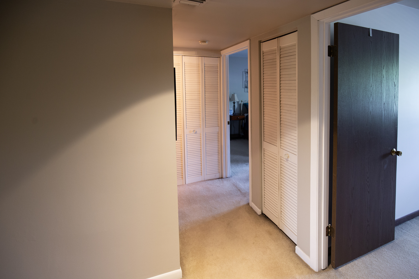 211 E Janata Avenue 3b Property Photo 16