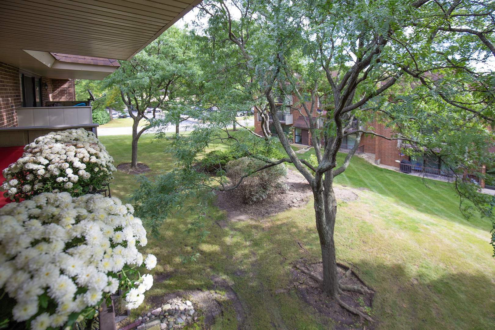 211 E Janata Avenue 3b Property Photo 39