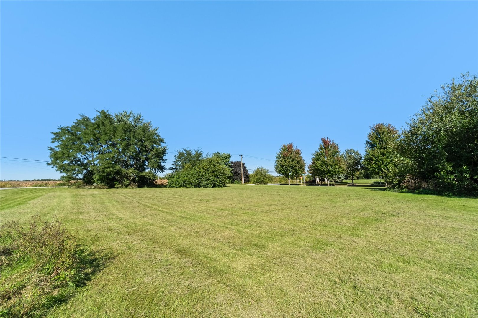 870 Simons Road Property Photo 12