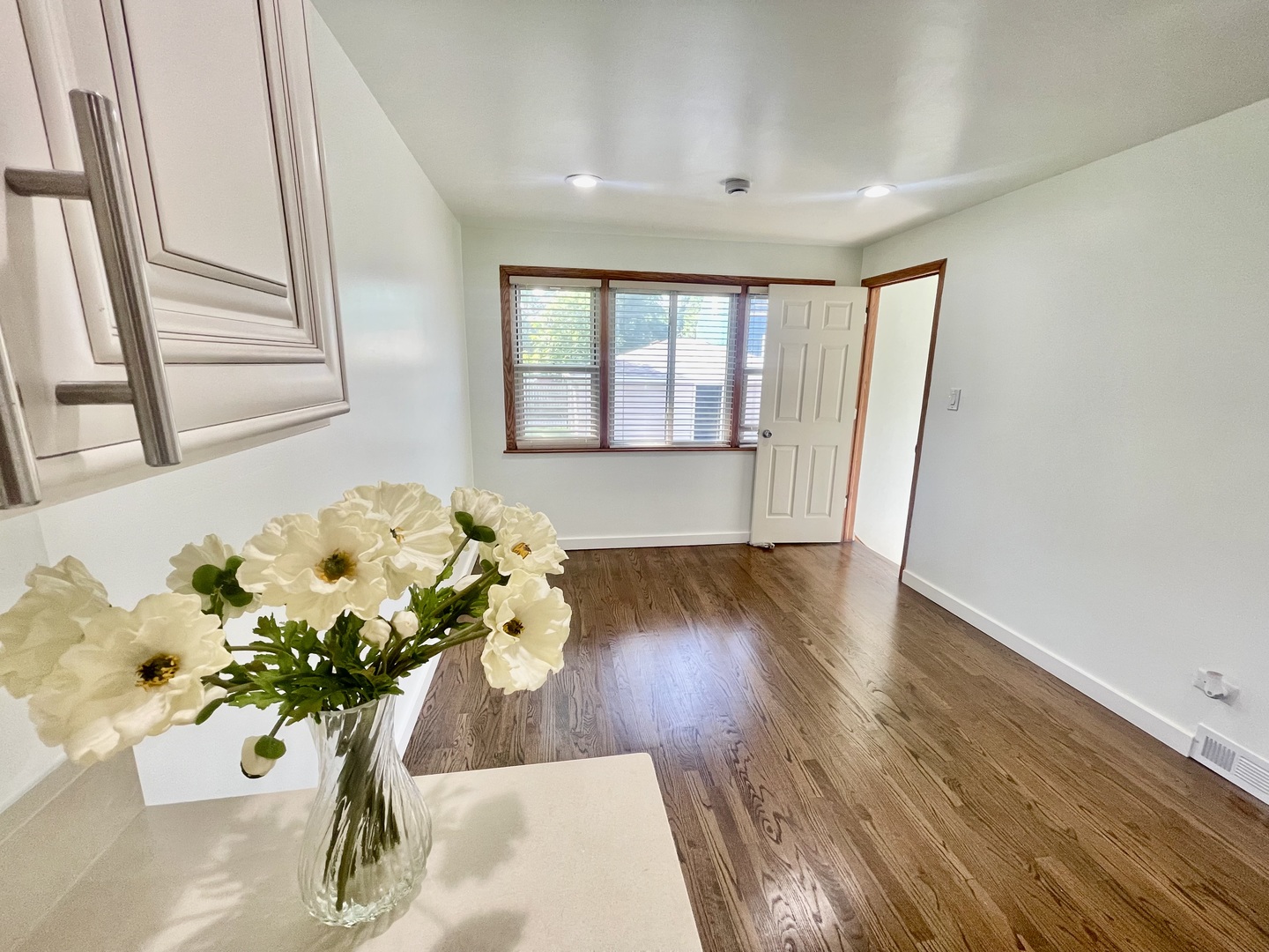 847 W 50th Street Property Photo 18