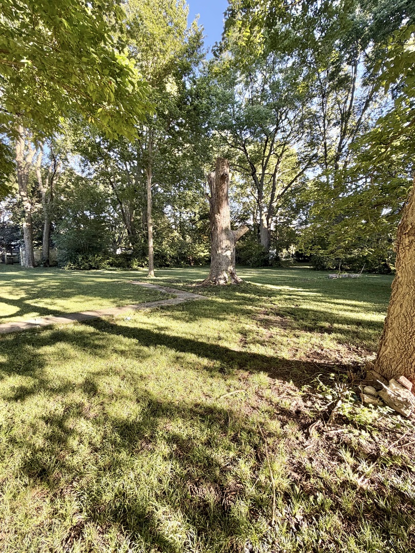 407 N Webster Street Property Photo 21