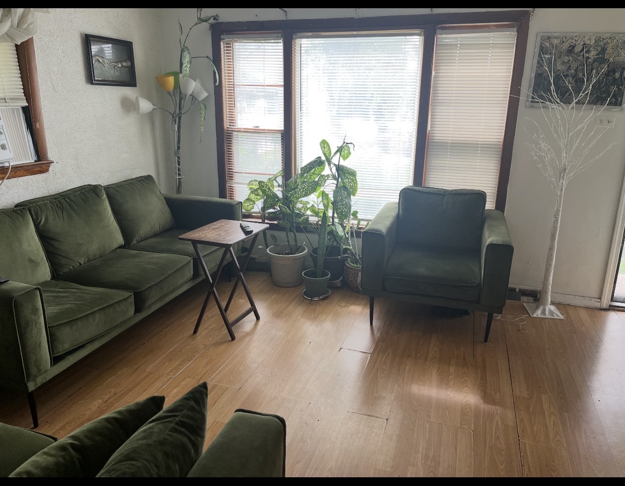 12769227 Property Photo 12