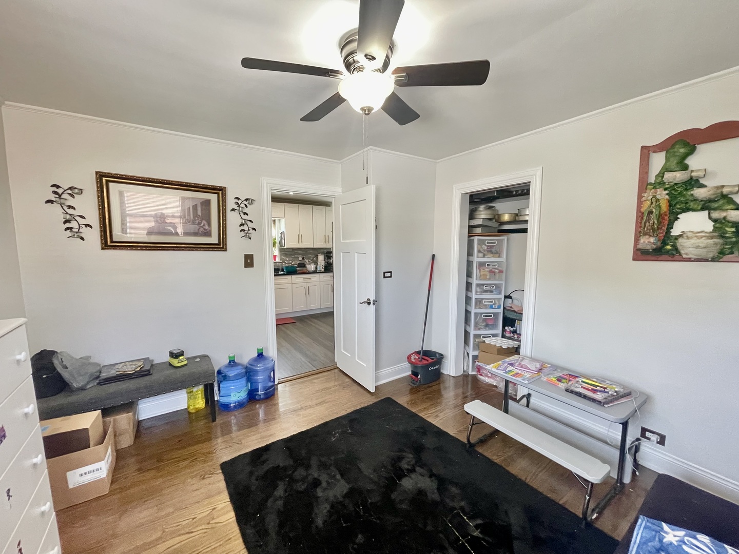 9133 S Hamlin Avenue Property Photo 15