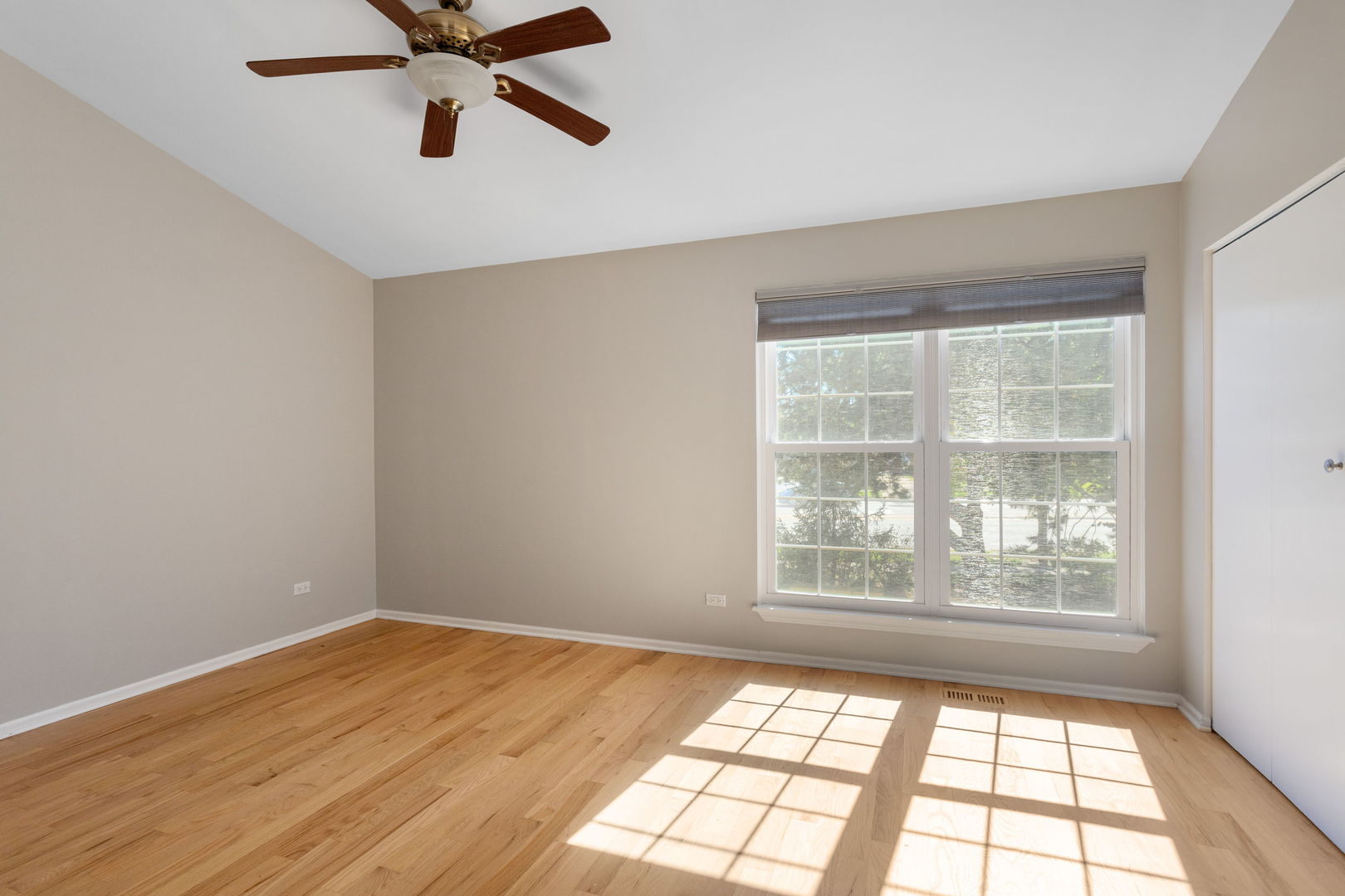 5 Marion Lane Property Photo 6