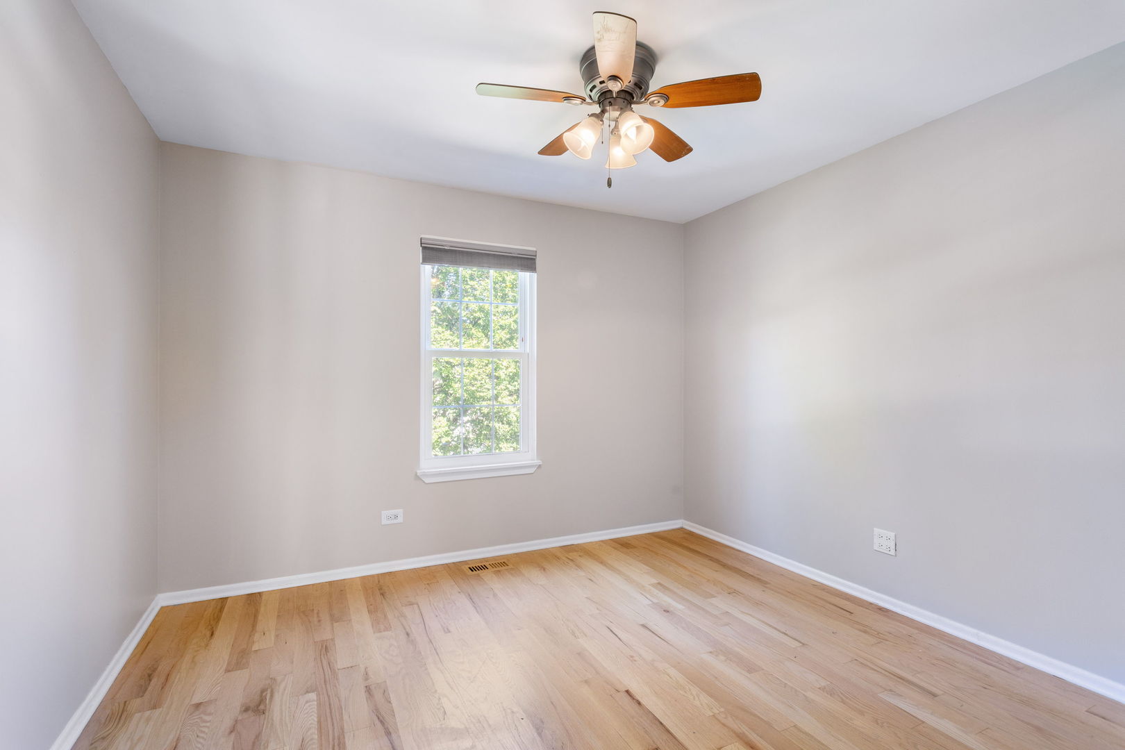5 Marion Lane Property Photo 20
