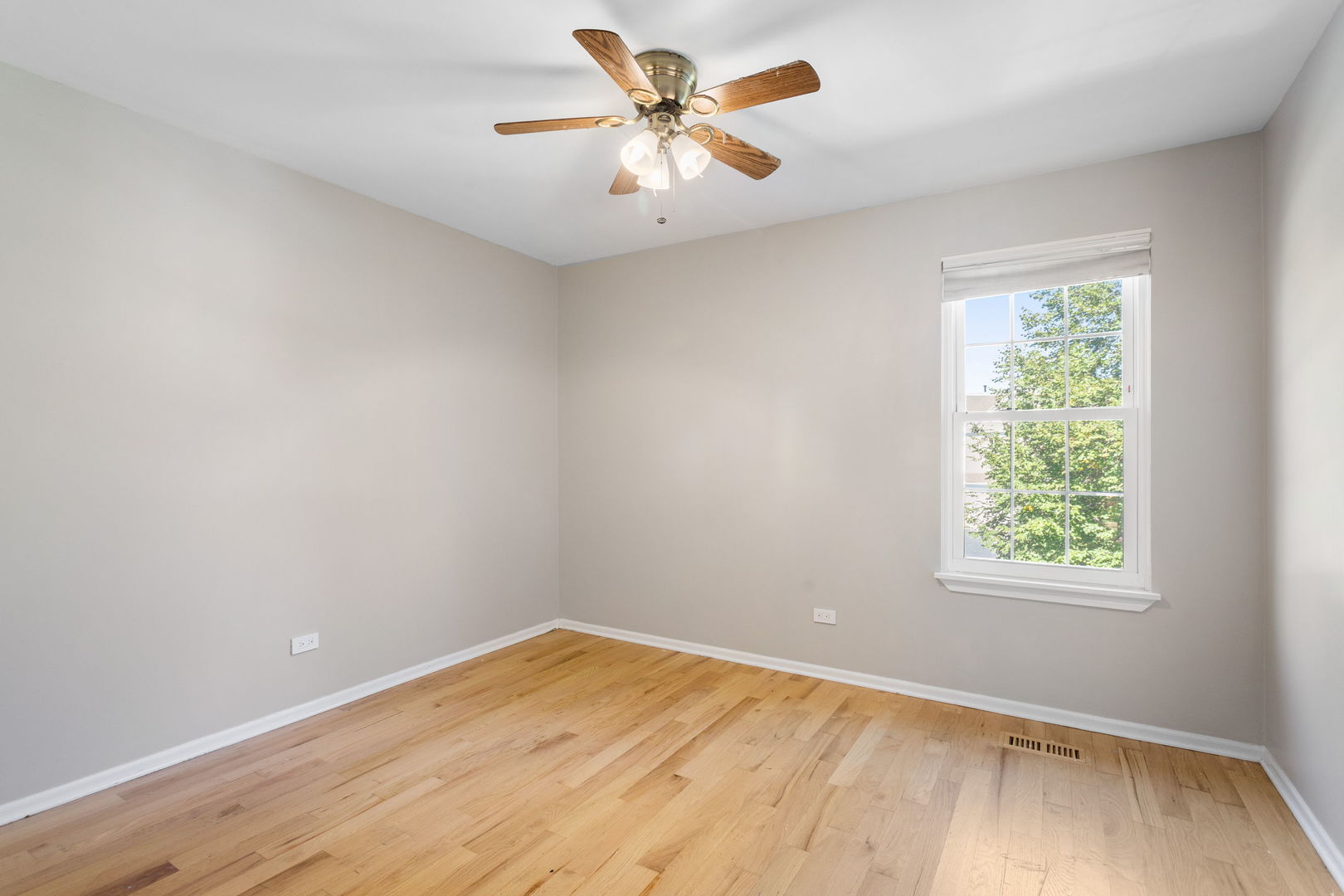 5 Marion Lane Property Photo 21