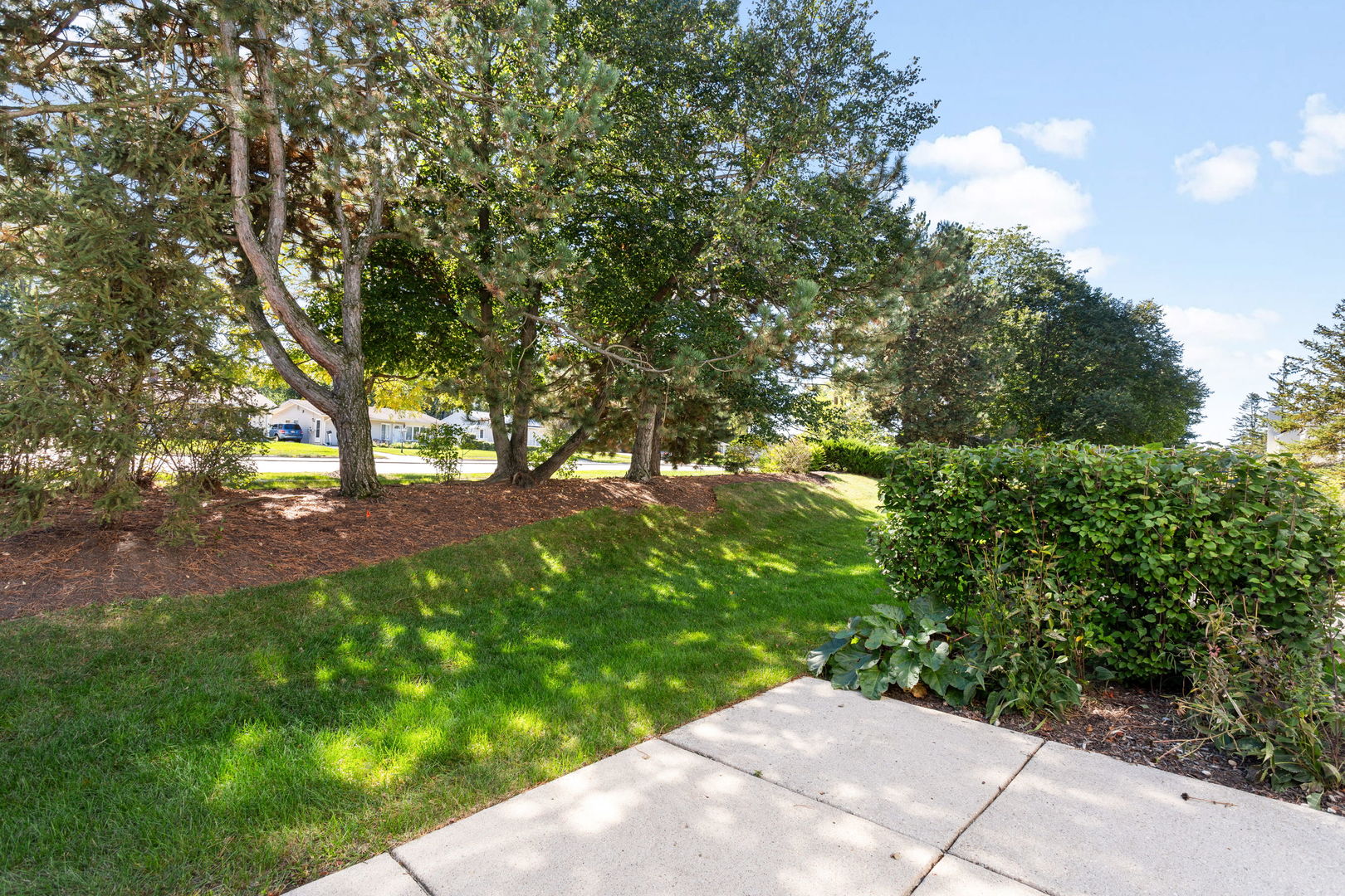 5 Marion Lane Property Photo 25