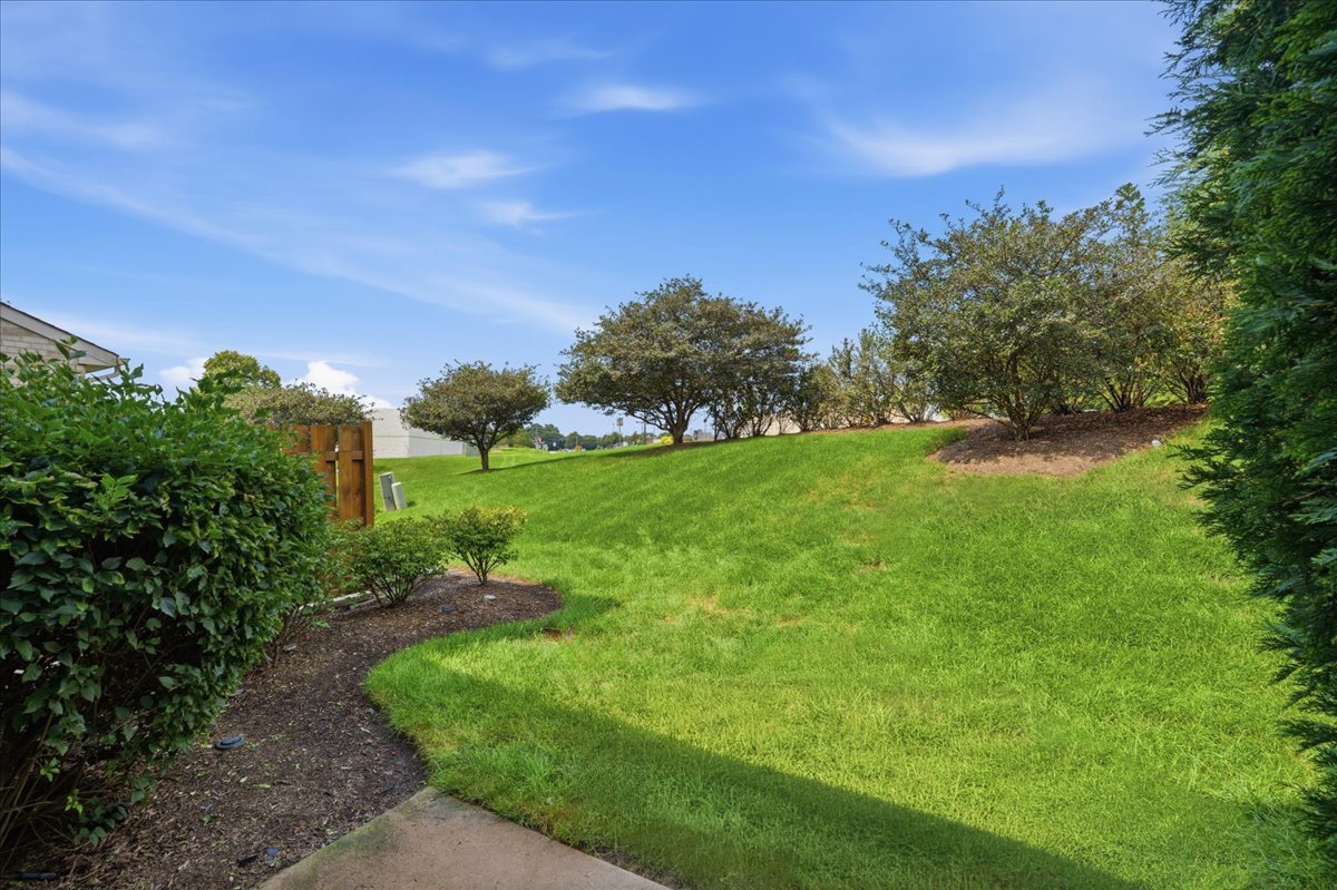 3318 Cottonwood Court Property Photo 29