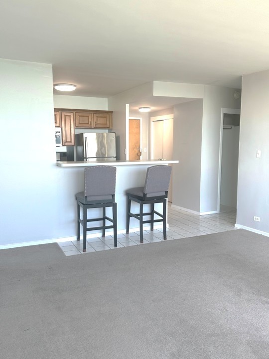 1150 N Lake Shore Drive 8b Property Photo 3