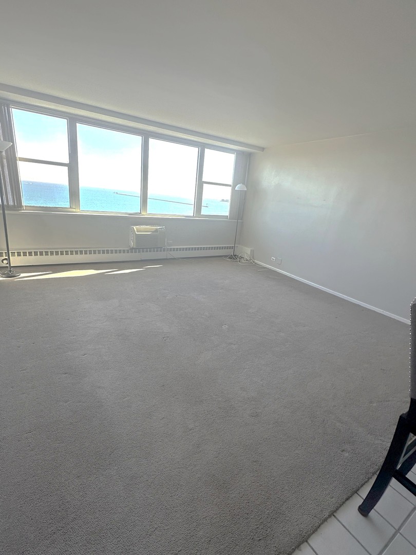 1150 N Lake Shore Drive 8b Property Photo 4