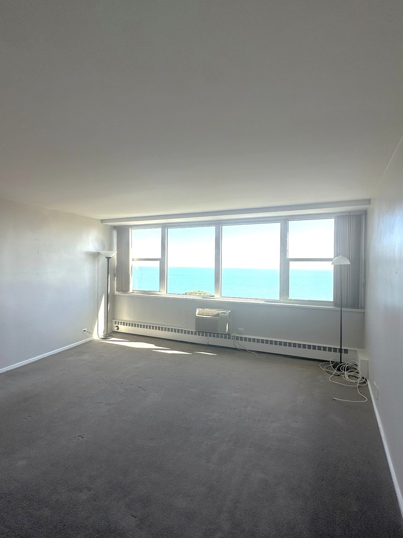 1150 N Lake Shore Drive 8b Property Photo 5
