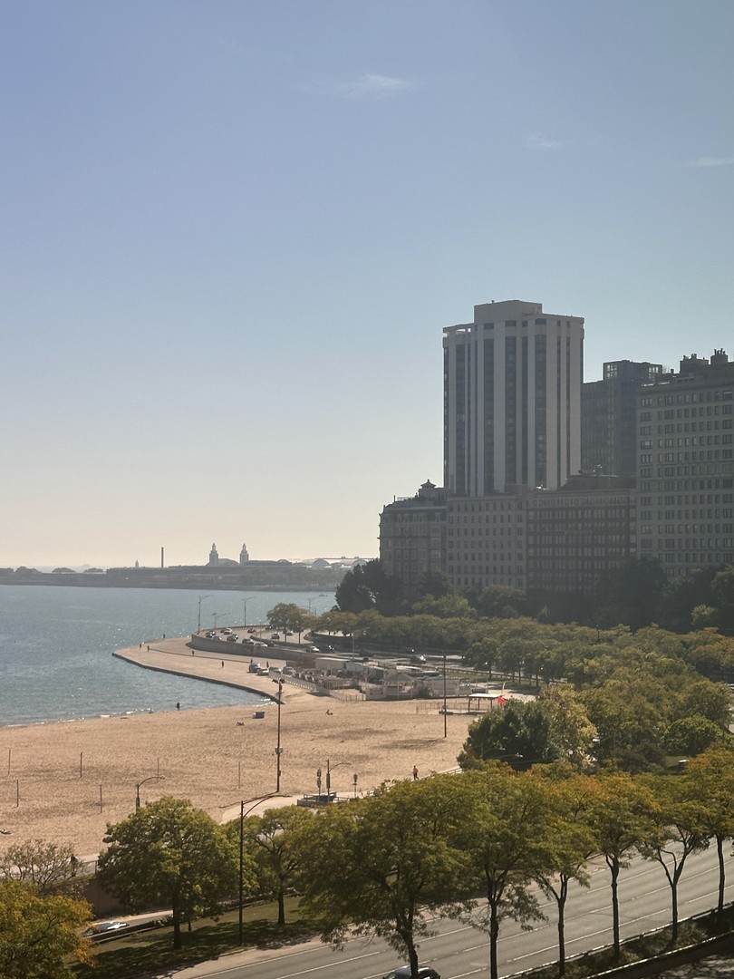 1150 N Lake Shore Drive 8b Property Photo 6