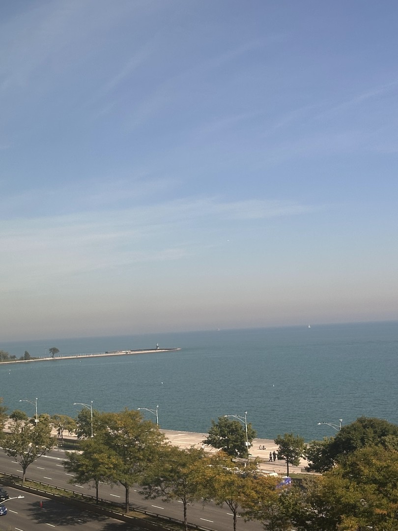 1150 N Lake Shore Drive 8b Property Photo 7