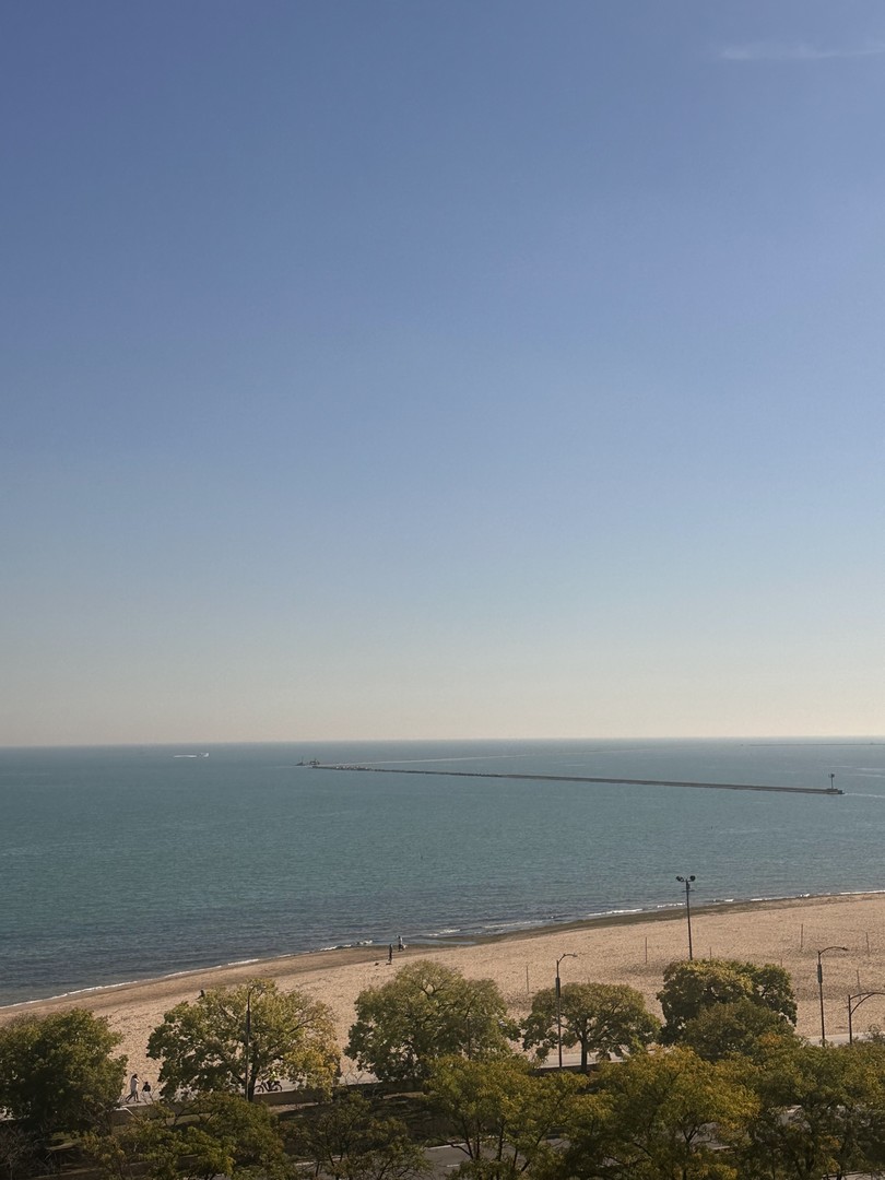 1150 N Lake Shore Drive 8b Property Photo 8