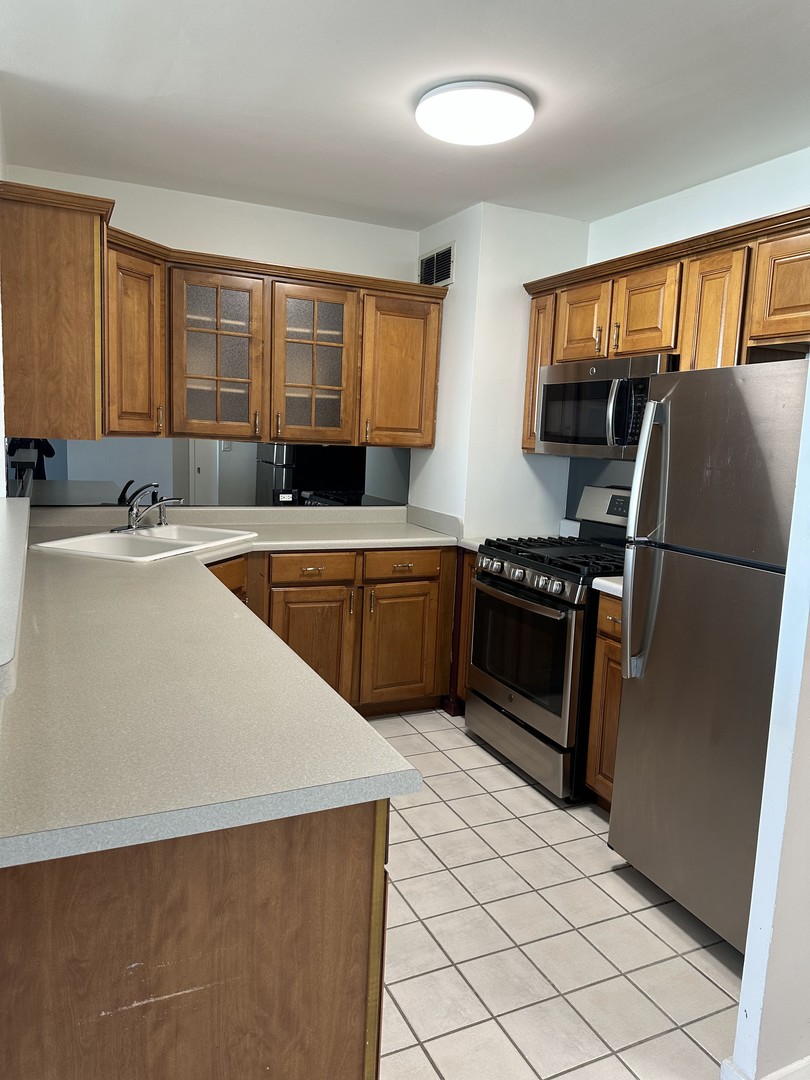 1150 N Lake Shore Drive 8b Property Photo 9