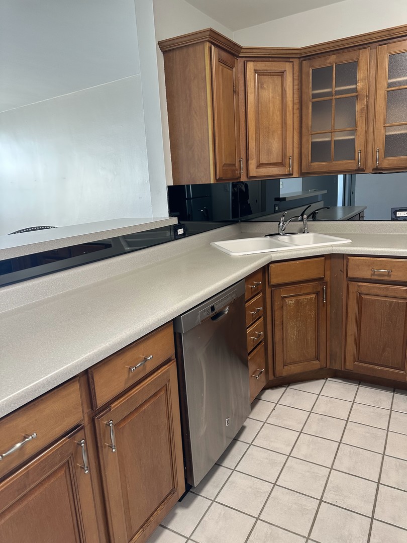 1150 N Lake Shore Drive 8b Property Photo 10