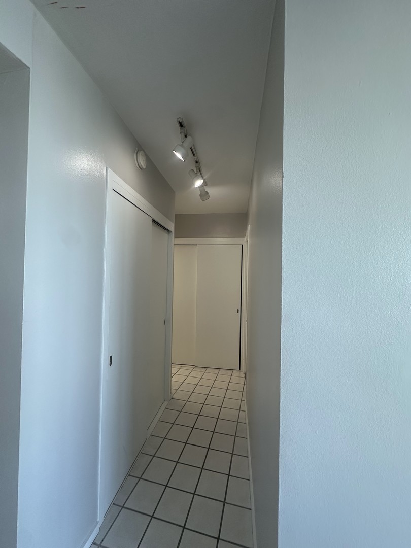 1150 N Lake Shore Drive 8b Property Photo 11