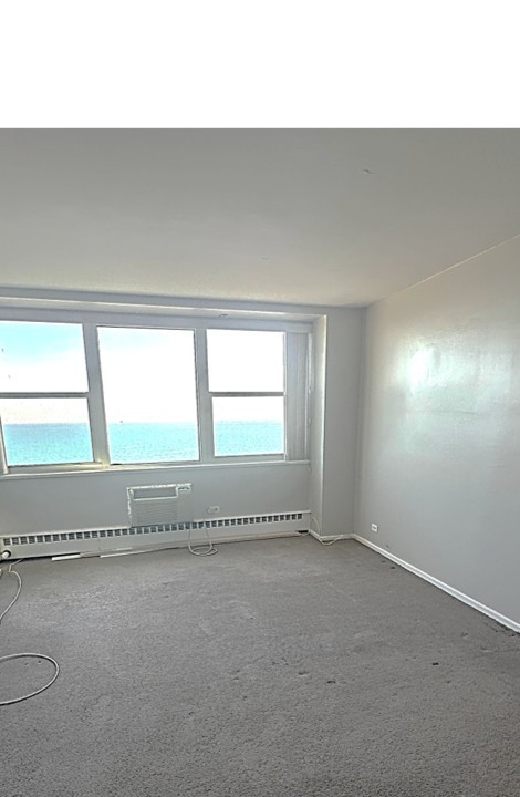 1150 N Lake Shore Drive 8b Property Photo 13