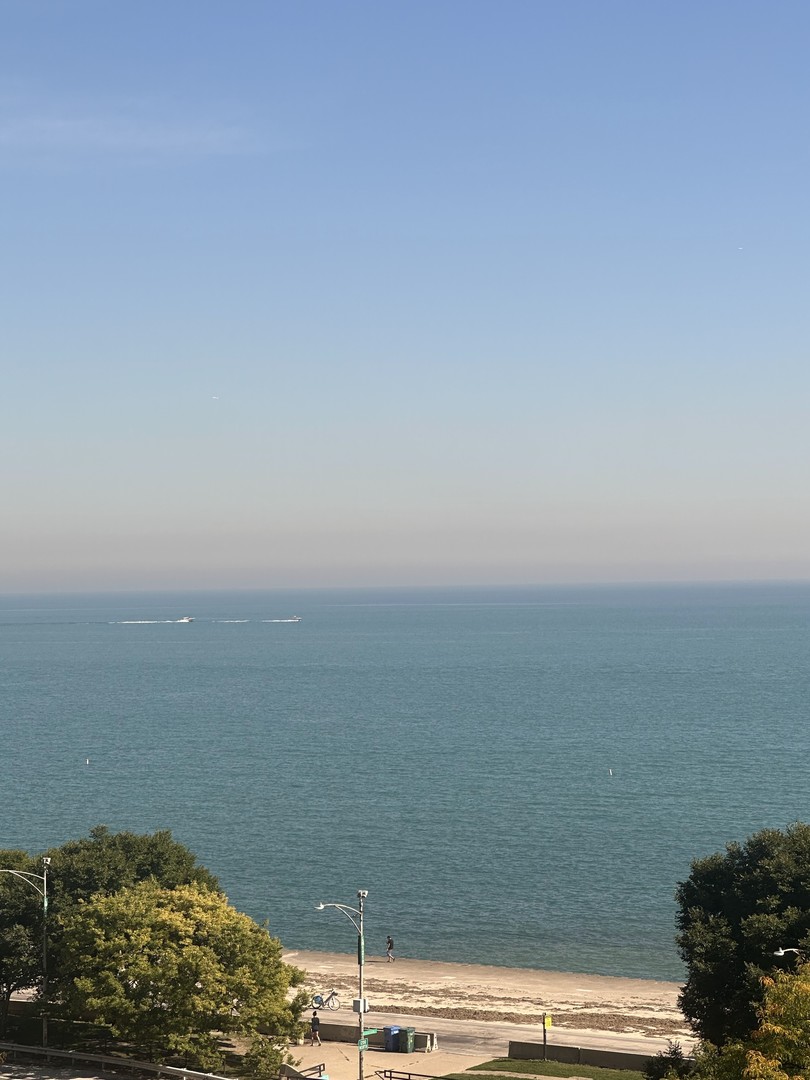 1150 N Lake Shore Drive 8b Property Photo 14