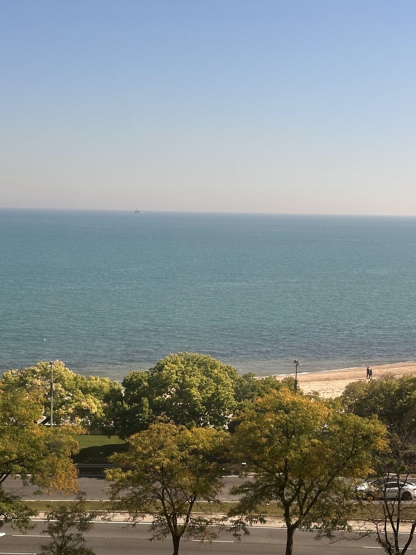 1150 N Lake Shore Drive 8b Property Photo 15
