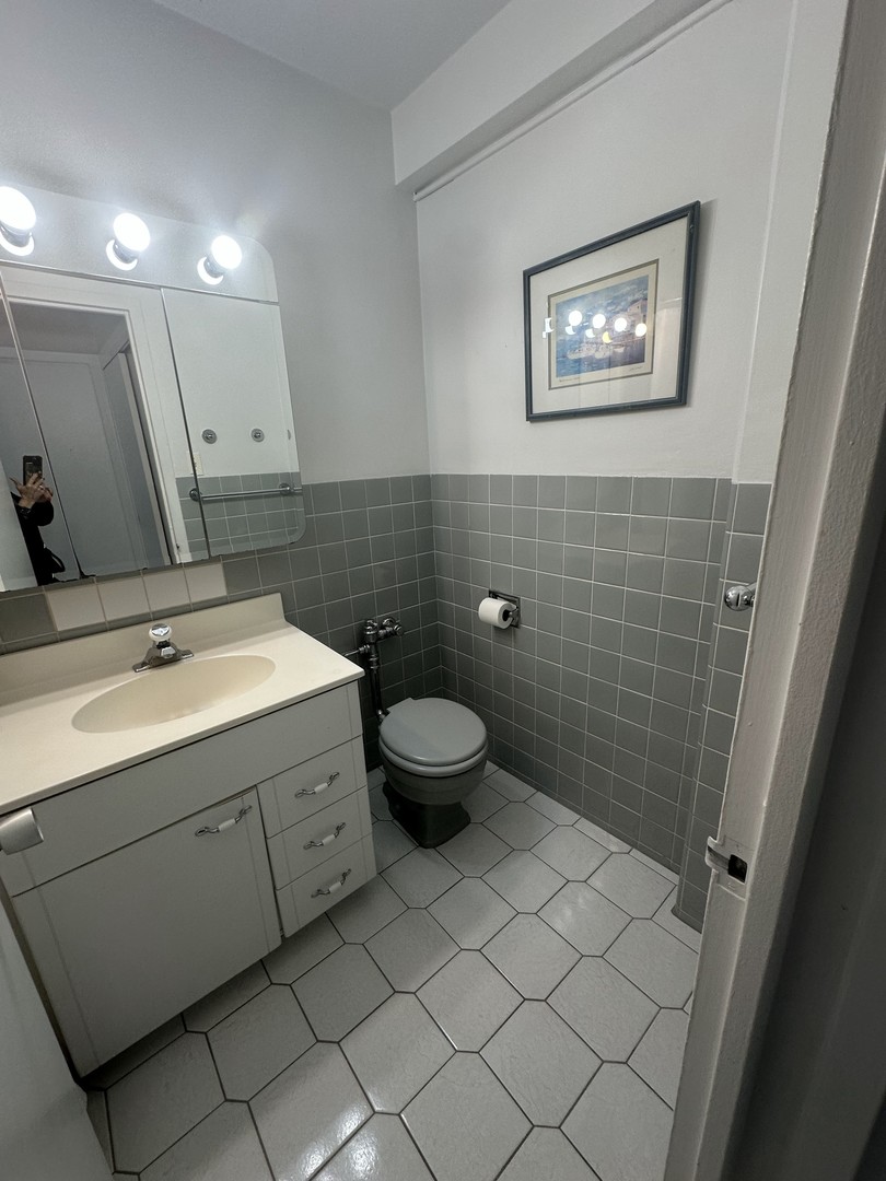 1150 N Lake Shore Drive 8b Property Photo 16