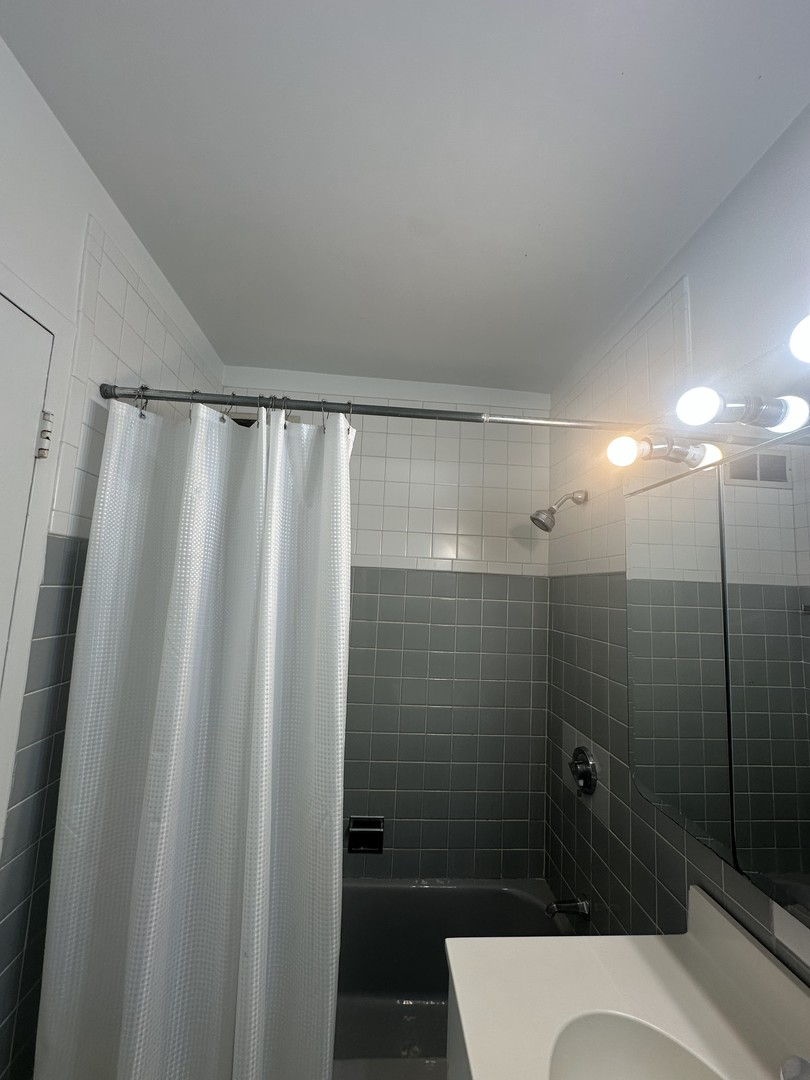 1150 N Lake Shore Drive 8b Property Photo 17