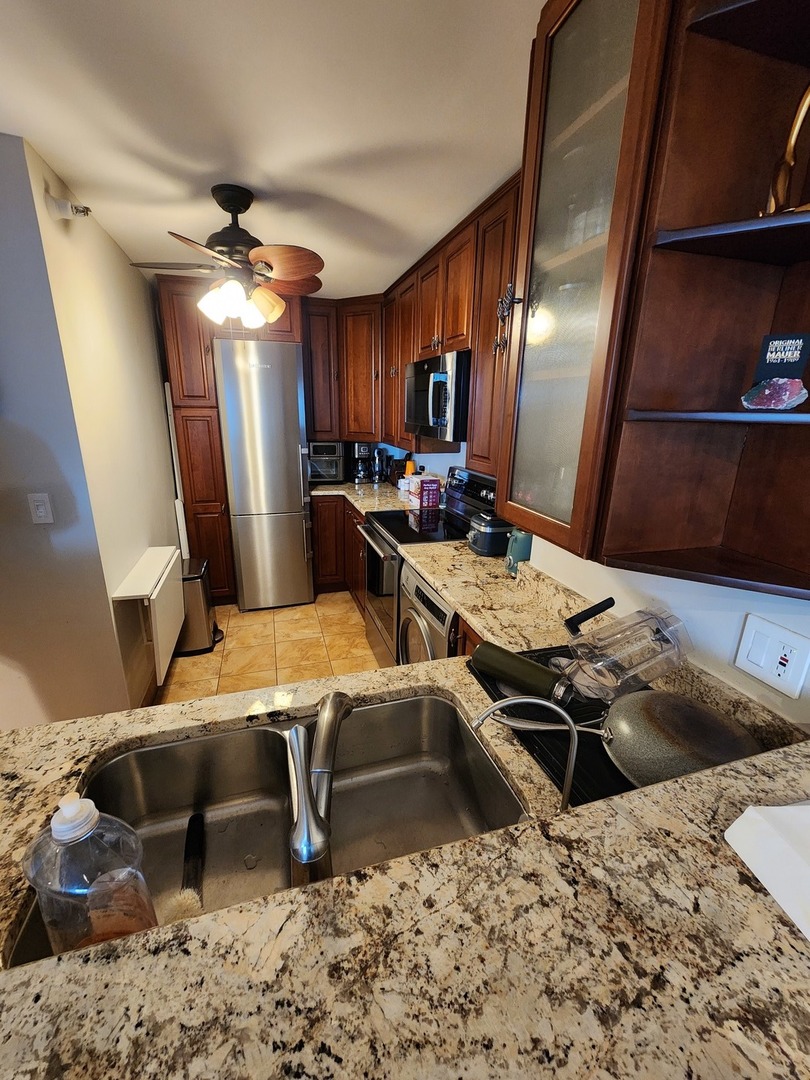 195 N Harbor Drive 2506 Property Photo 5