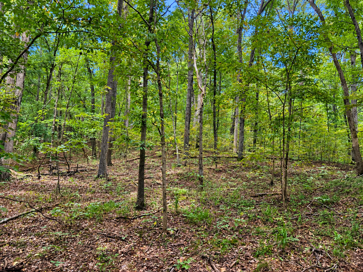 0000 Perry Road Property Photo 1