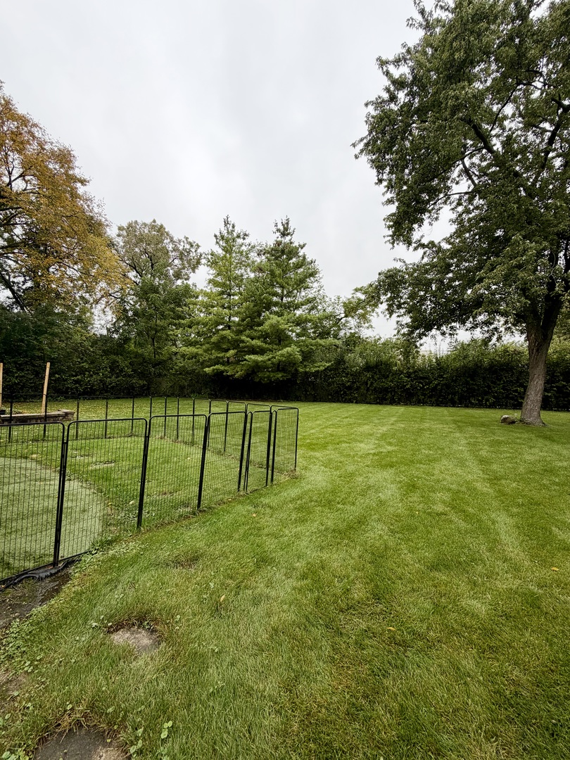 232 Linden Road Property Photo 28