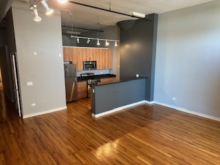 1224 W Van Buren Street 511 Property Photo 4
