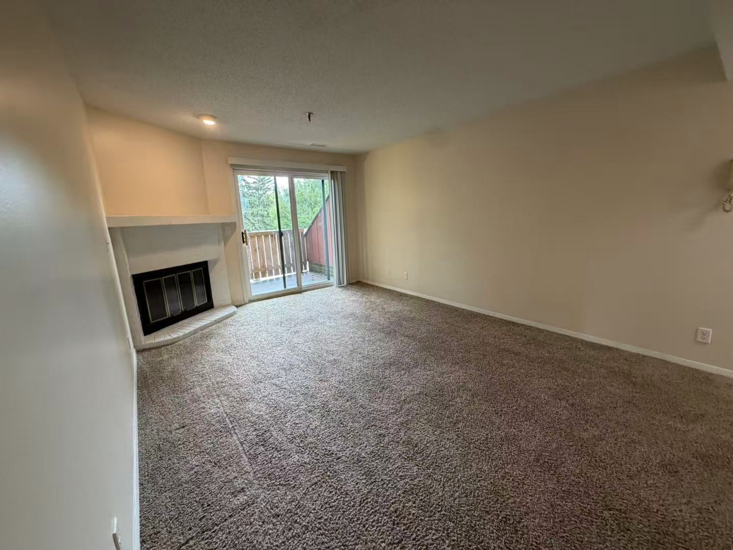 1330 Brook Street F Property Photo 17