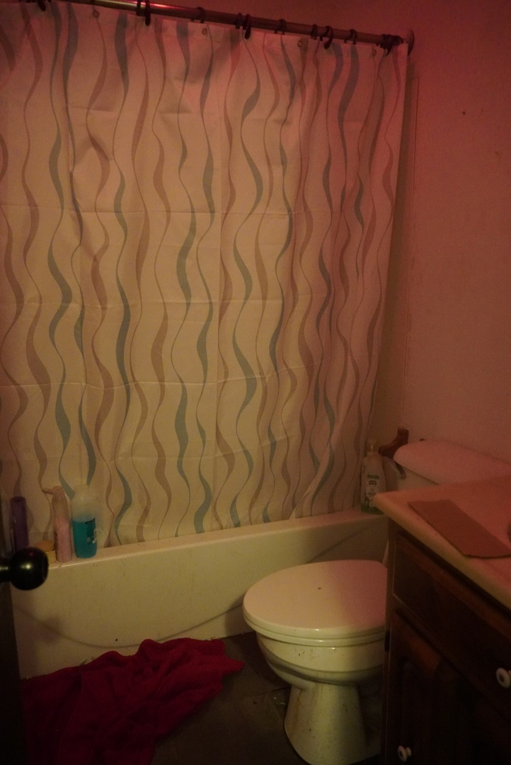 213 Linwood Avenue Property Photo 10