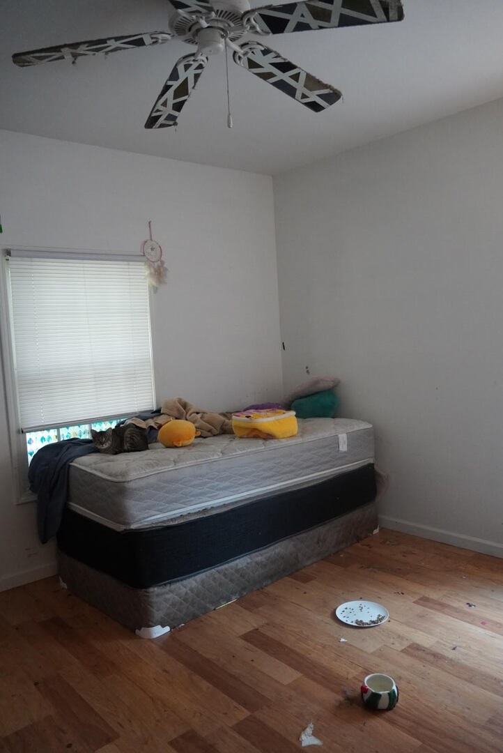 213 Linwood Avenue Property Photo 15
