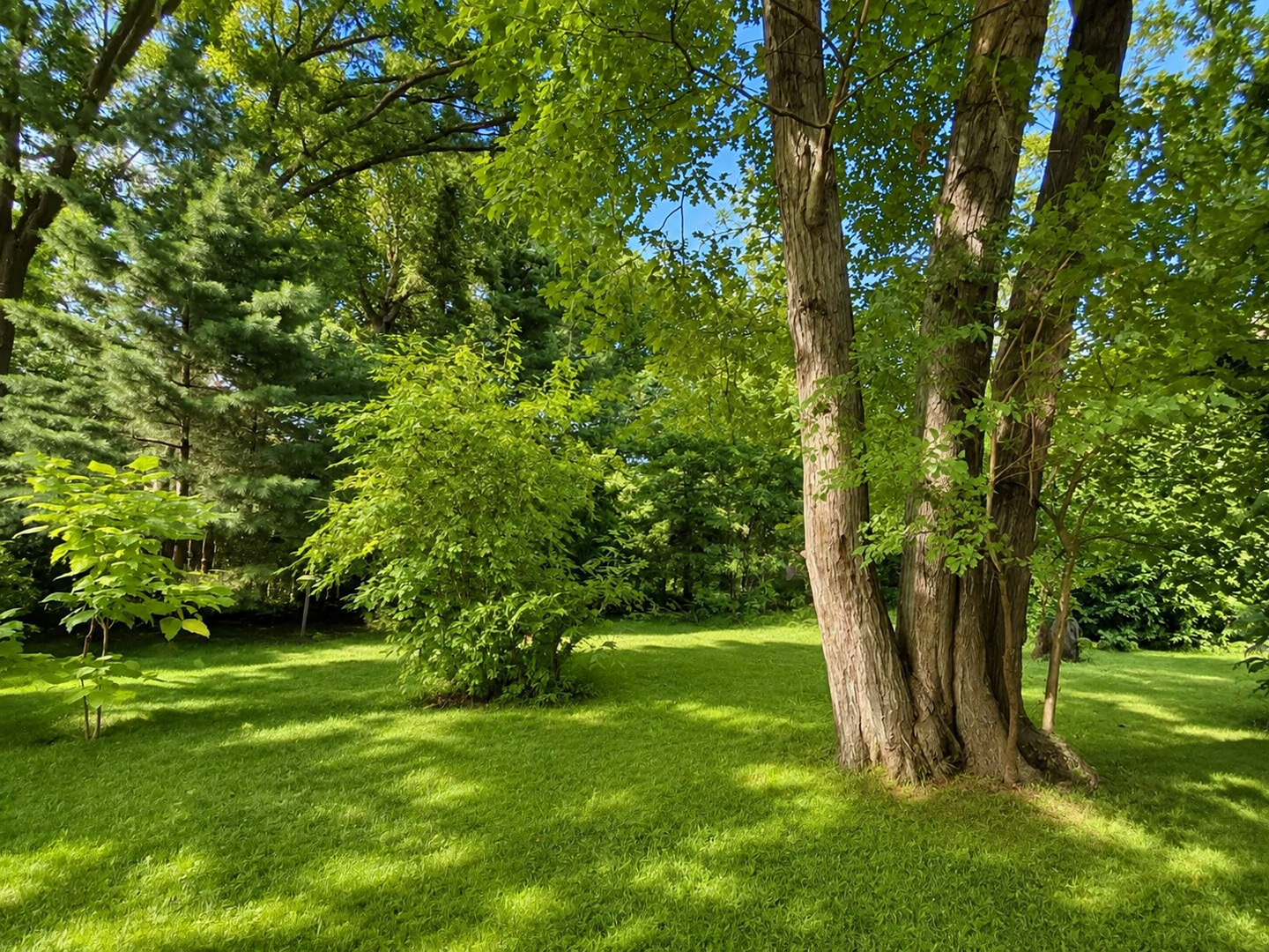 2811 Forest Lane Property Photo 27