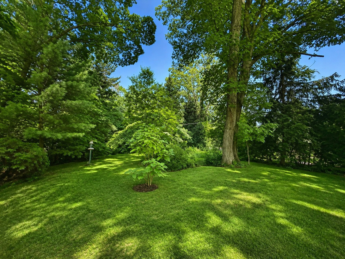 2811 Forest Lane Property Photo 28