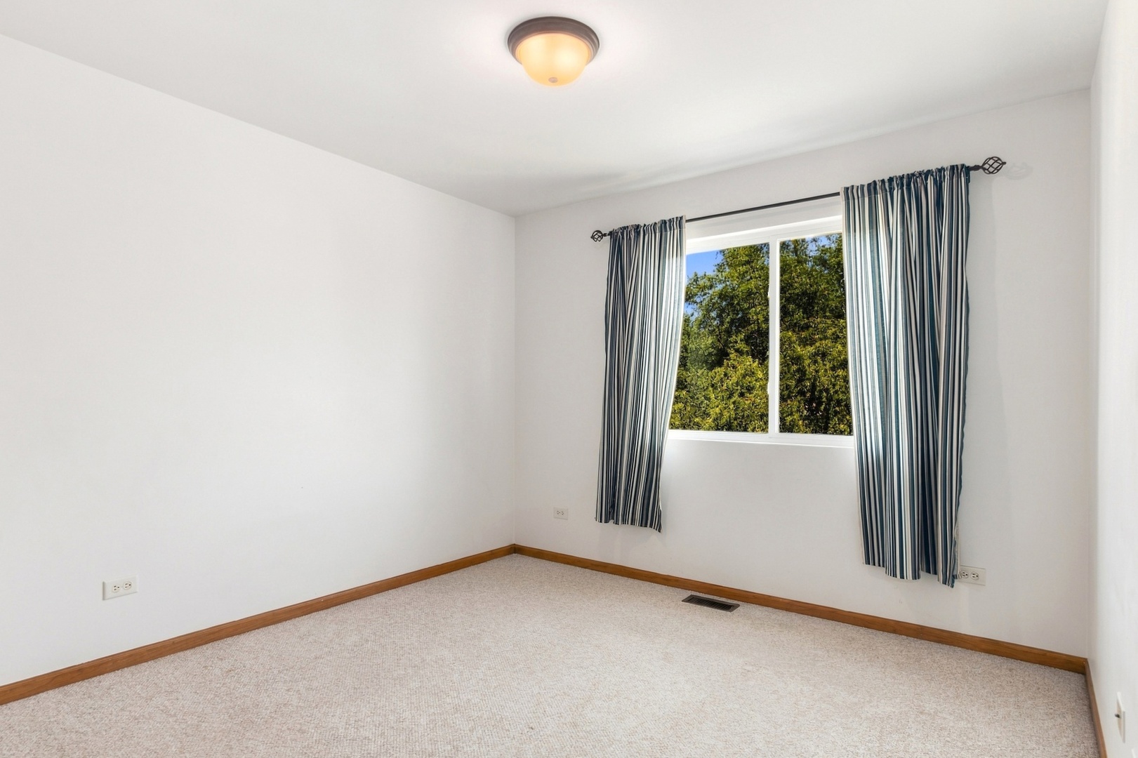 347 Coneflower Drive Property Photo 14