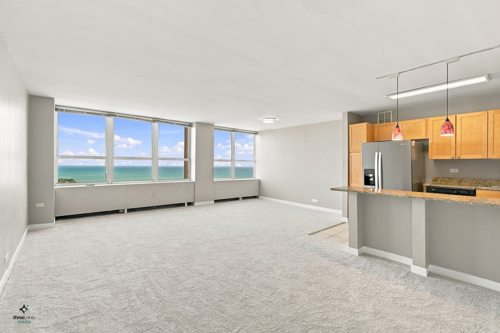 655 W Irving Park Road 5406 Property Photo 6