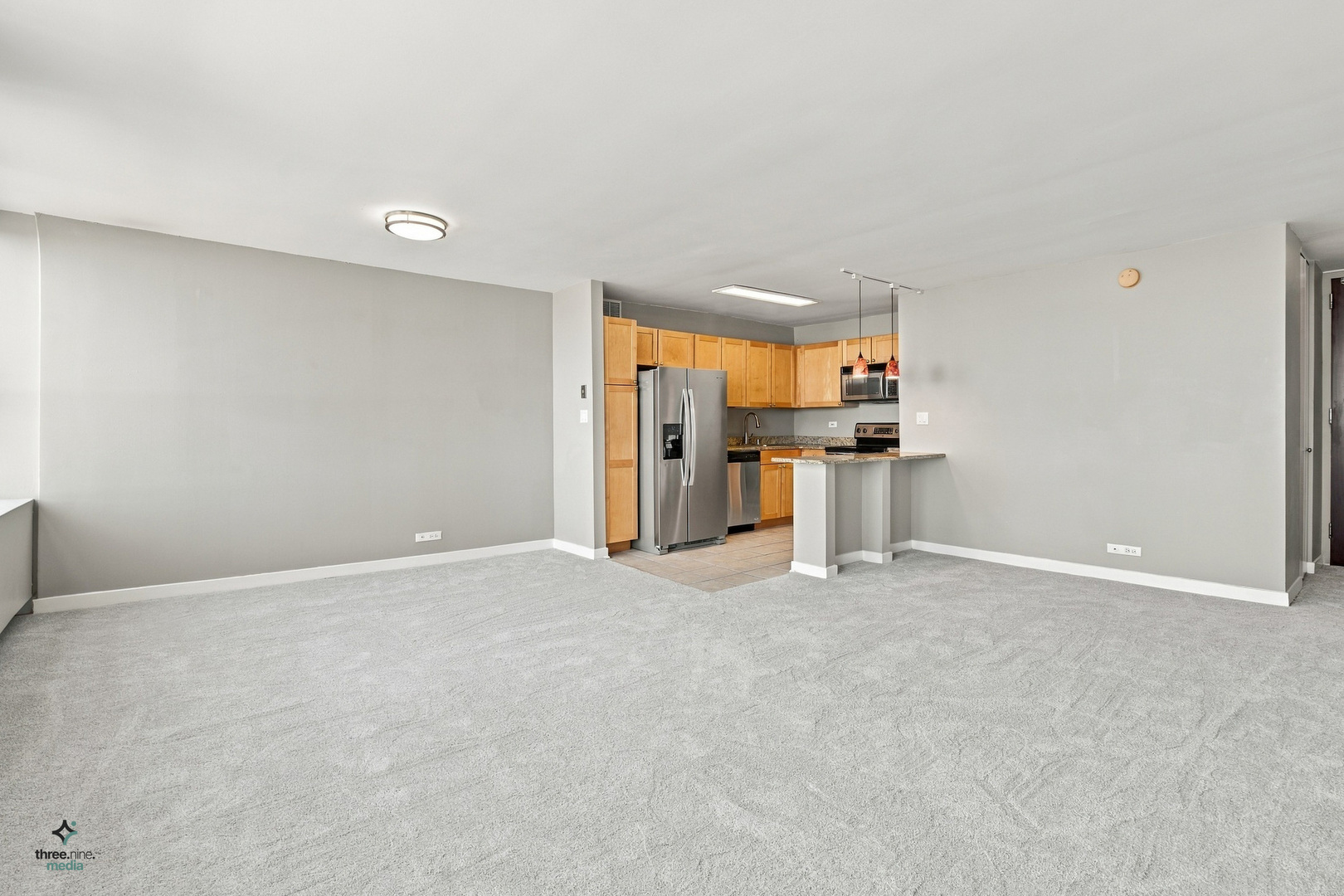 655 W Irving Park Road 5406 Property Photo 11
