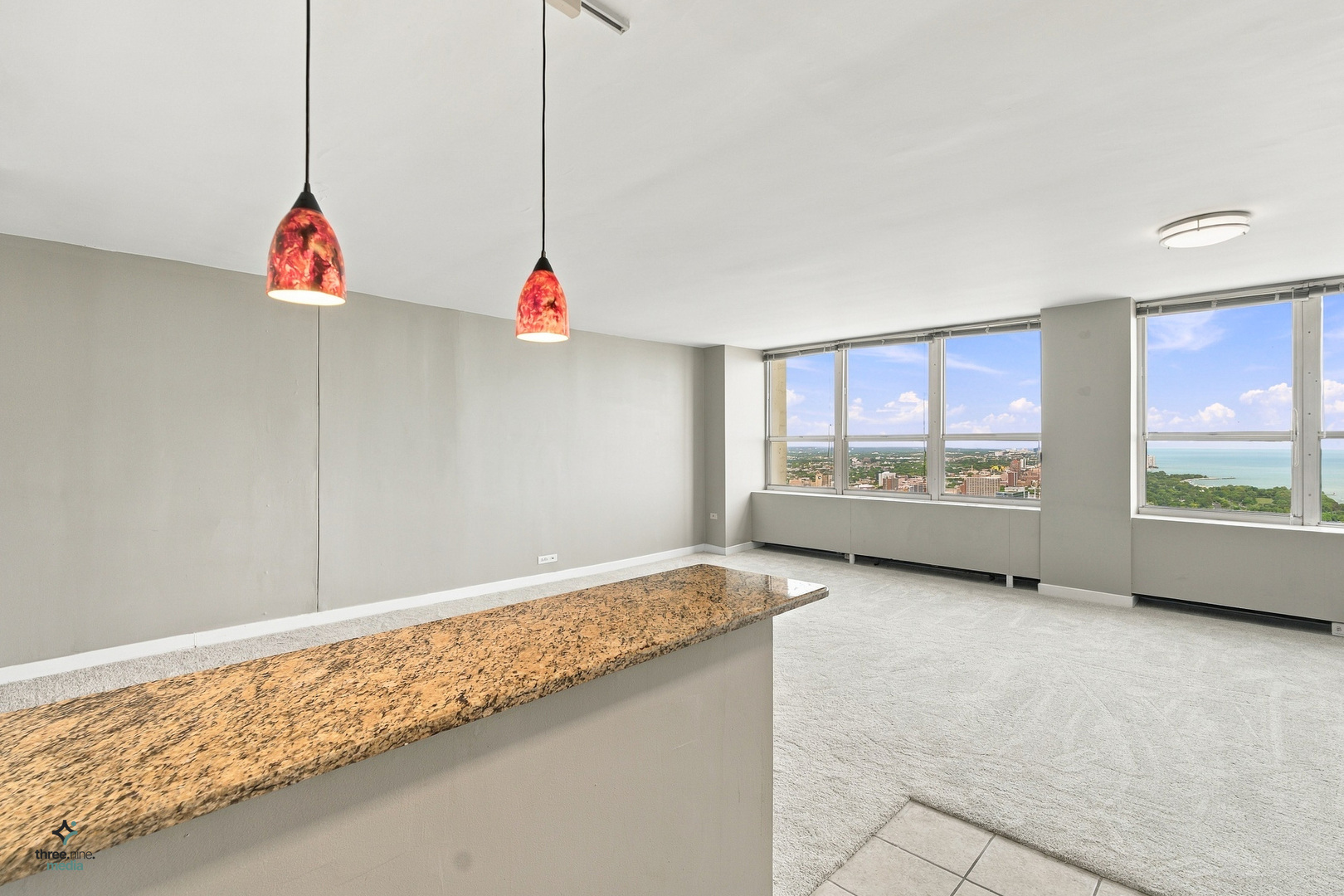 655 W Irving Park Road 5406 Property Photo 15