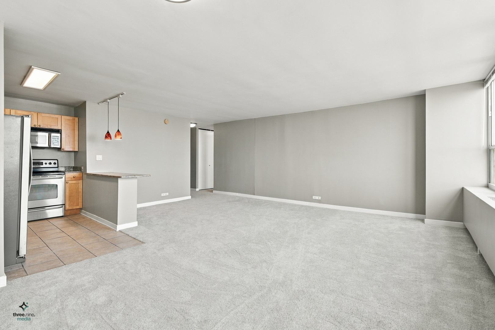 655 W Irving Park Road 5406 Property Photo 17