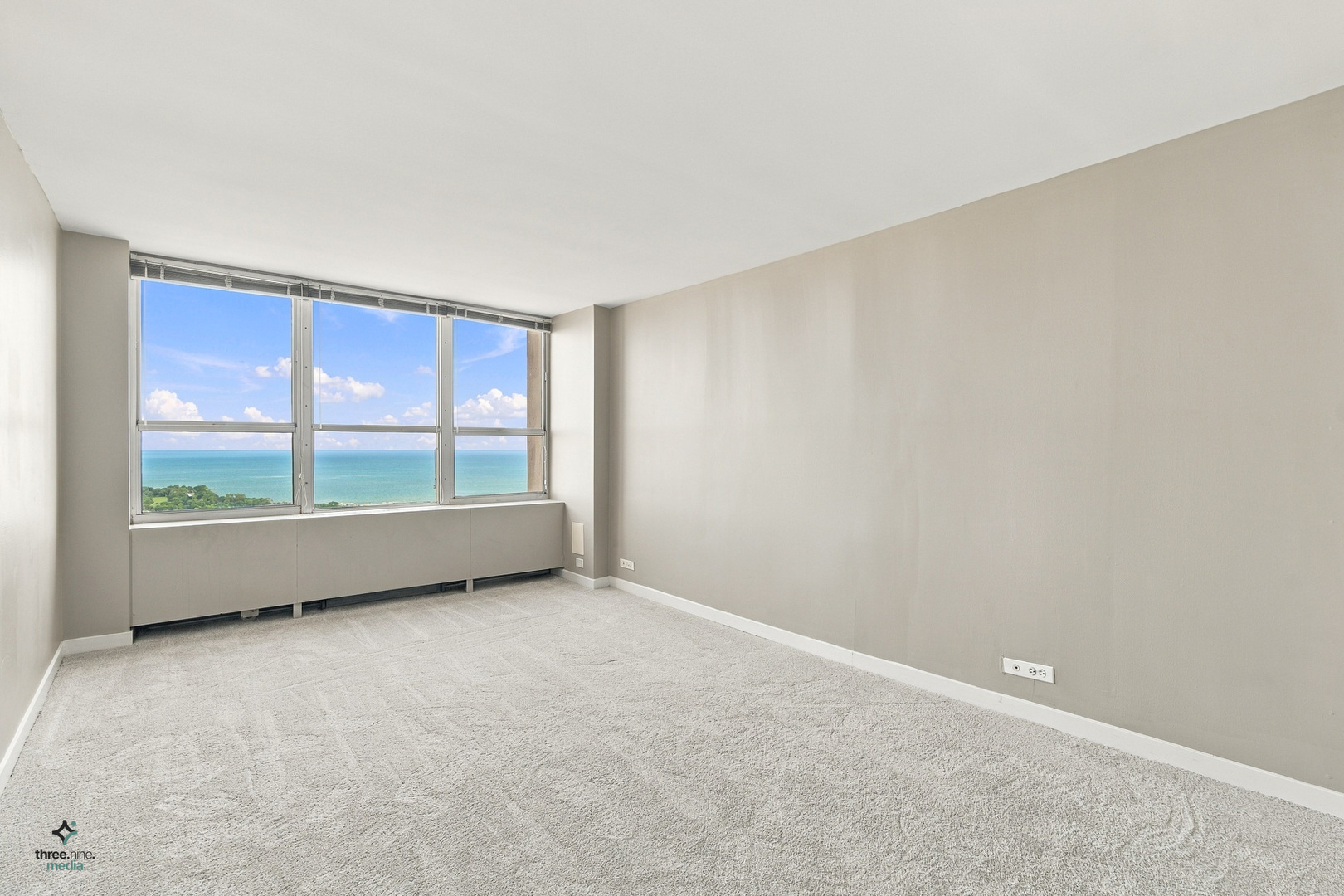 655 W Irving Park Road 5406 Property Photo 18