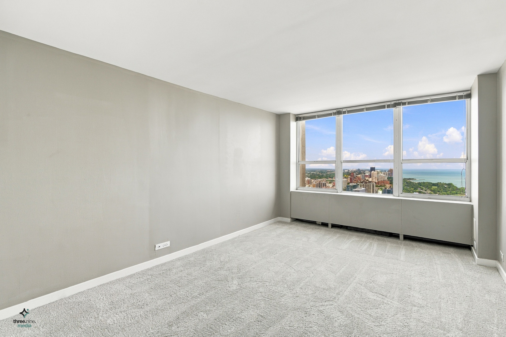 655 W Irving Park Road 5406 Property Photo 19