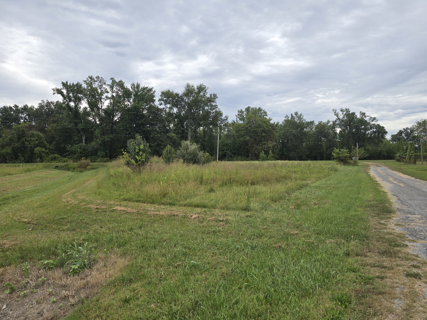 000 Bauman Lane Property Photo 1