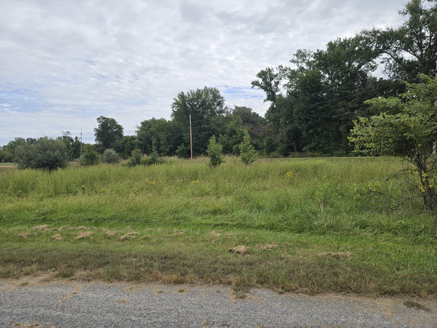 000 Bauman Lane Property Photo 2