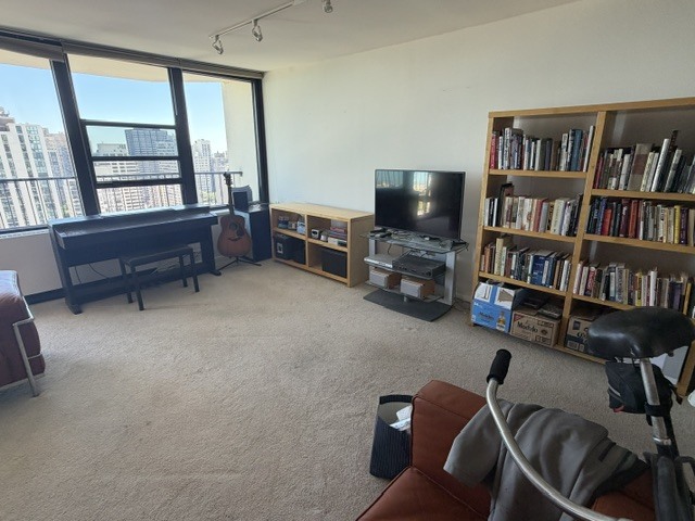 1560 N Sandburg Terrace 2808j Property Photo 7