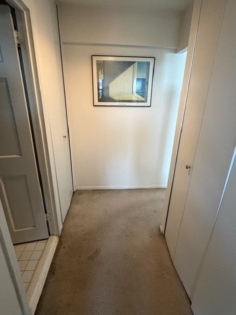 1560 N Sandburg Terrace 2808j Property Photo 15