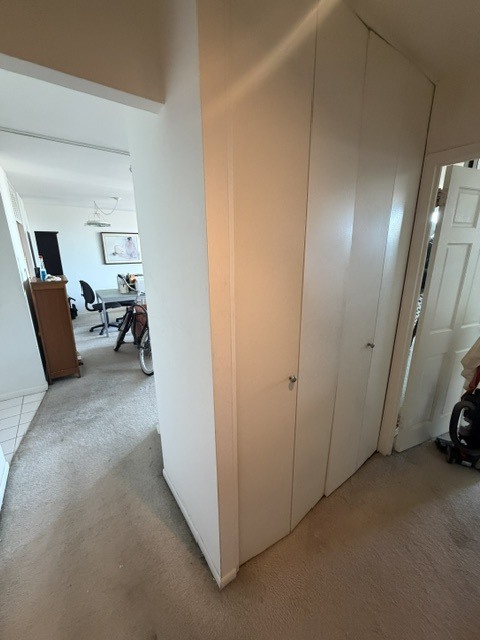 1560 N Sandburg Terrace 2808j Property Photo 18