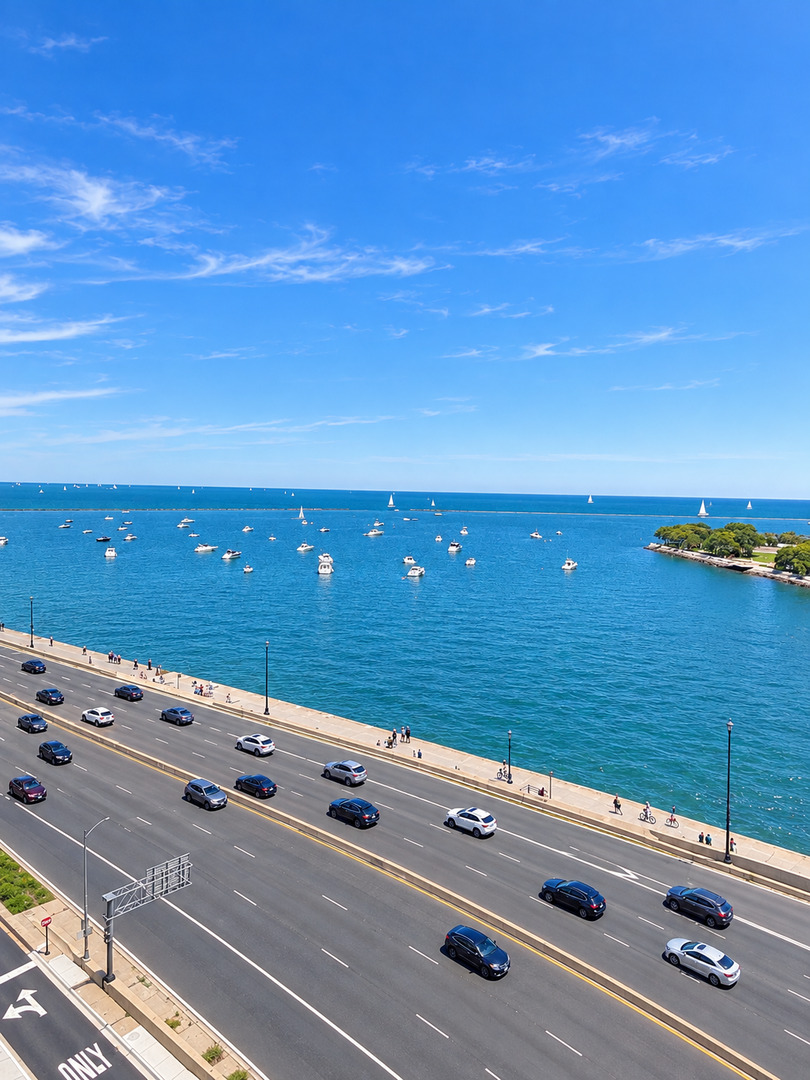 600 N Lake Shore Drive 1011 Property Photo 4