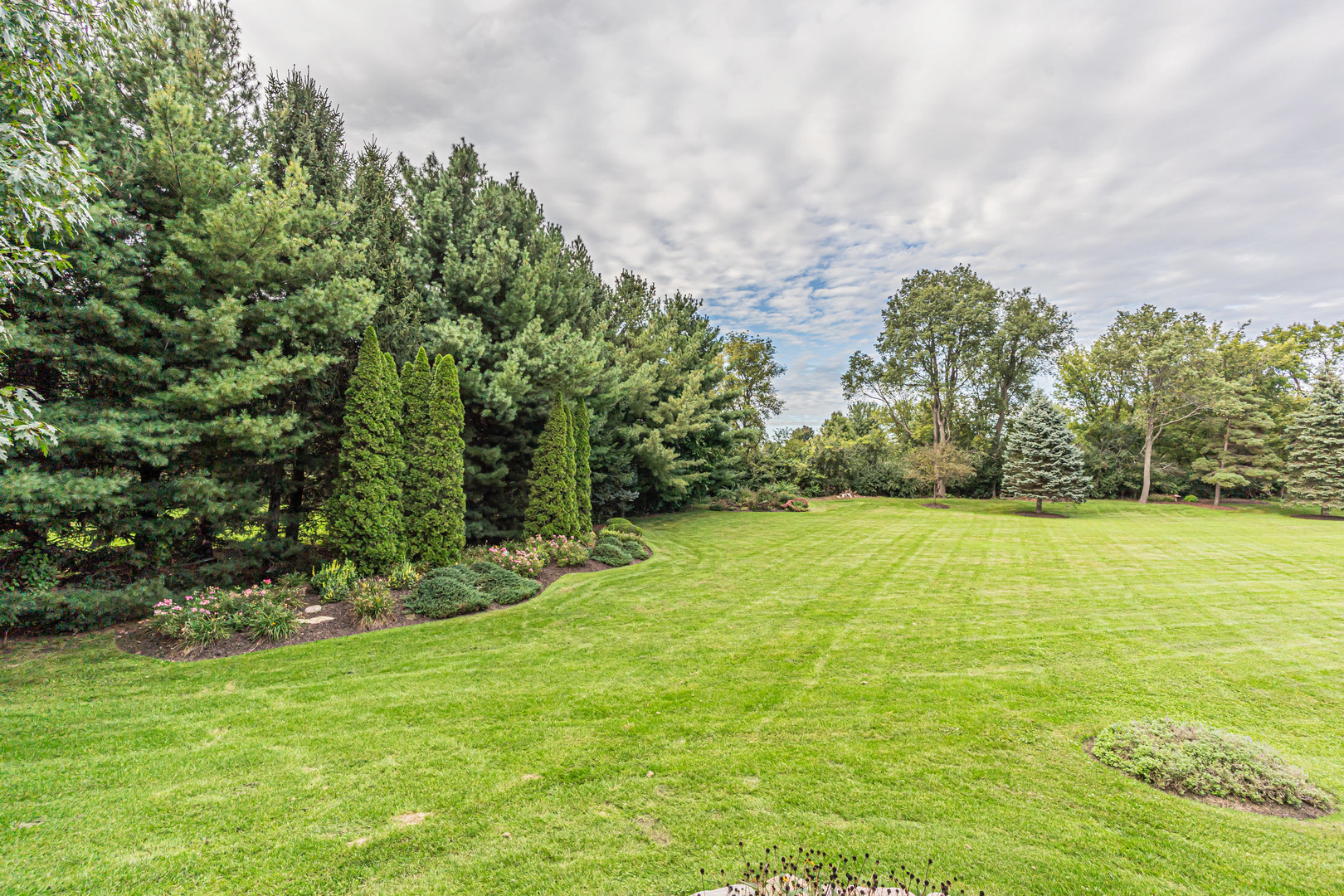 2506 Mustang Trail Property Photo 39