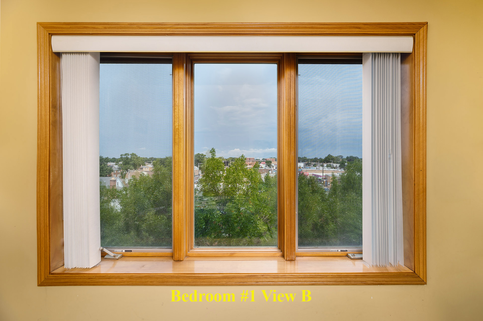 3258 N Harlem Avenue 503 Property Photo 16